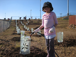 girl watering seedling