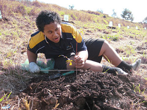 Image-2