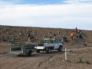 Image-2