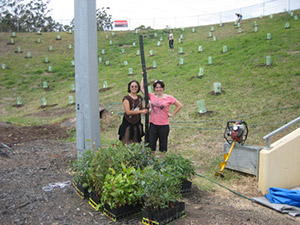 Image-3