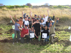 dexus tree day-3